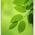 Huawei Nova 2