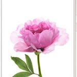 Xiaomi Mi Max