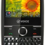 Voice V400