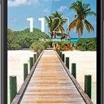 Voice Xtreme V55