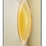 Vivo X100 Pro Plus