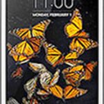 LG X Max