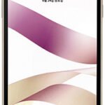 LG X Skin